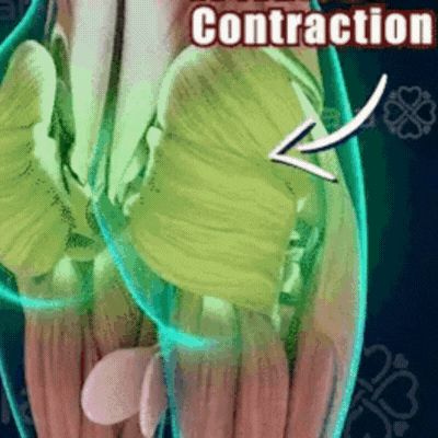 Bump & Beyond - Pelvic Trainer